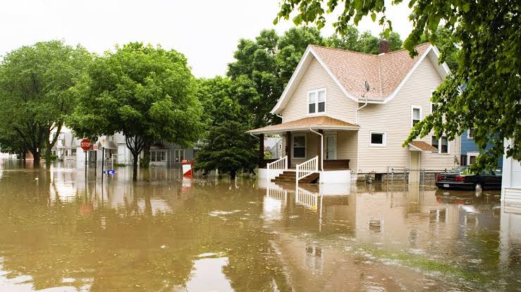 How Emergency Flood Repair Services Can Save Your Property